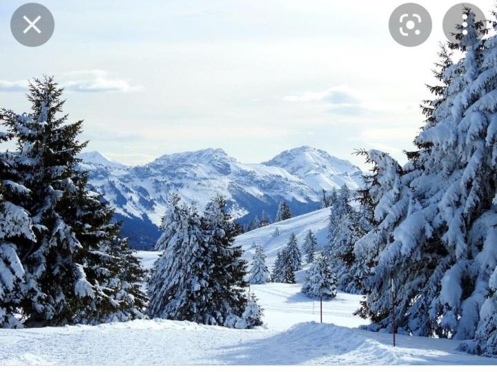 L'Oree Des Bois , Detente Et Calme . Mesigny Exterior photo